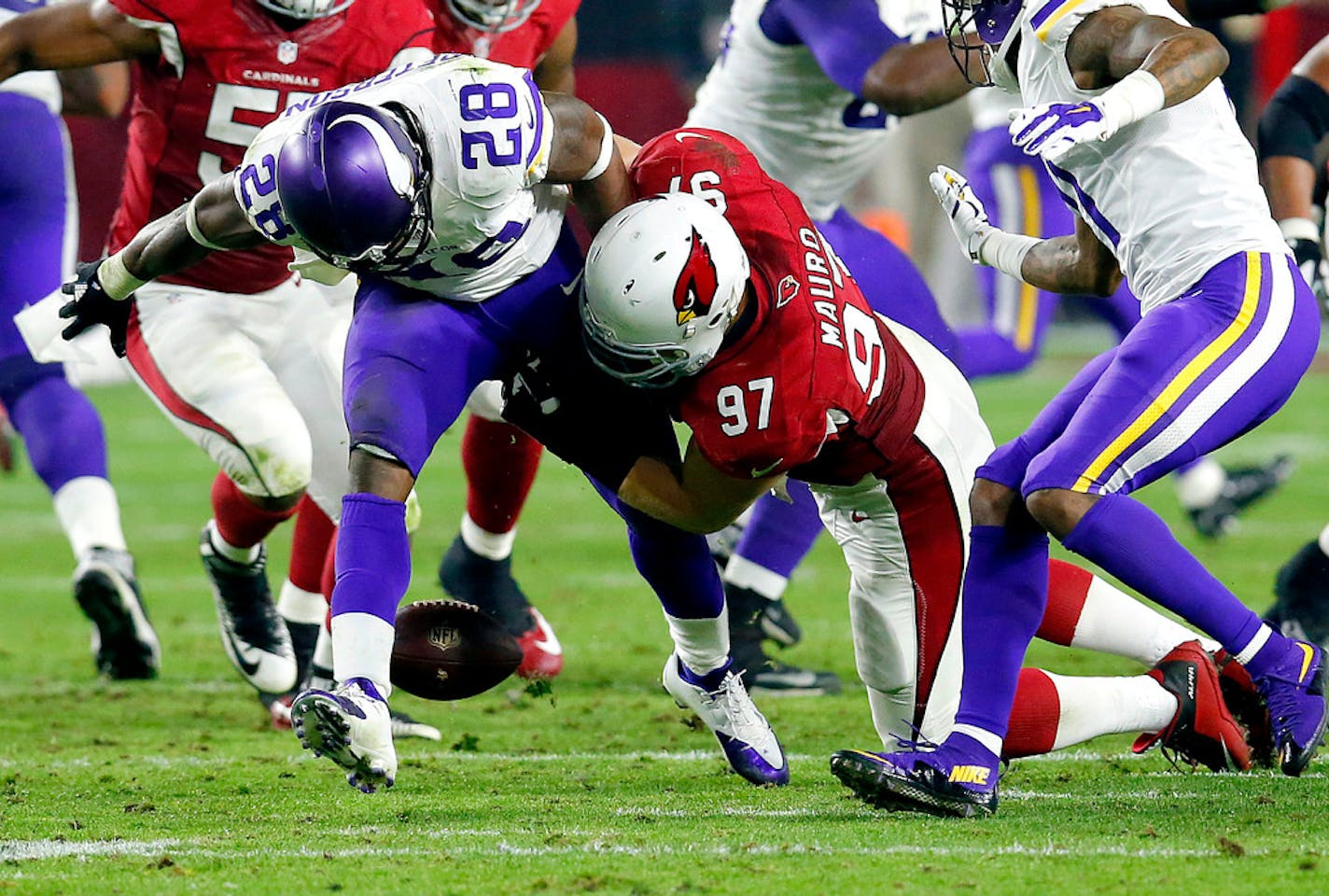 Minnesota Vikings running back Adrian Peterson (28) fumbles after being hit by Arizona Cardinals nose tackle Josh Mauro (97) during the second half of an NFL football game, Thursday, Dec. 10, 2015, in Glendale, Ariz. (AP Photo/Rick Scuteri) ORG XMIT: MIN2016011520545302