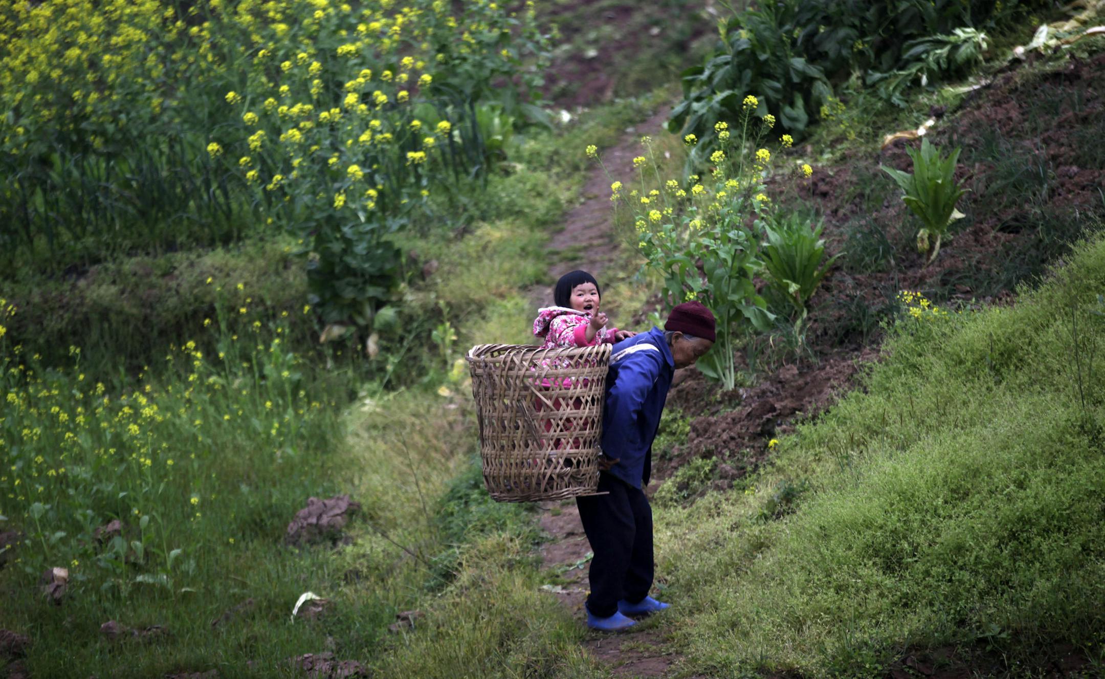 FILE - In this Tuesday March 19, 2013, file photo, an elderly Chinese woman caries a baby in a traditional basket on the outskirts of Chongqing, China. China's ruling Communist Party announced Thursday, Oct. 29, 2015, that it will abolish the country's decades-old one-child policy and allow all couples to have two children, removing remaining restrictions that limited many urban couples to only one, the official Xinhua News Agency said. (AP Photo/Eugene Hoshiko, File)
