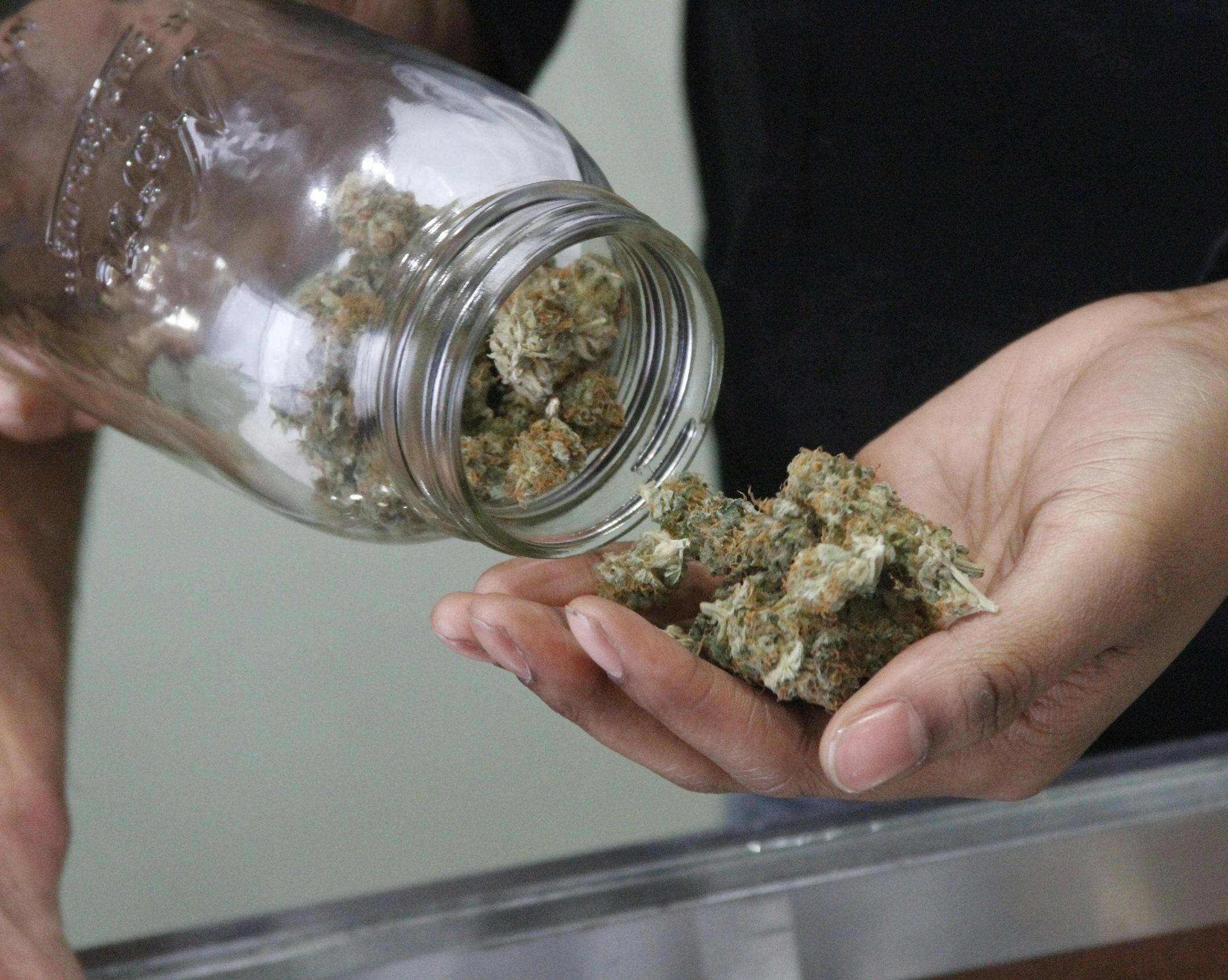 In this Feb. 20, 2015 photo, Alaska Cannabis Club CEO Charlo Greene prepares to roll a joint at the medical marijuana dispensary in Anchorage, Alaska. On Tuesday, Feb. 24, 2015, Alaska will become the third state in the nation to legalize marijuana. (AP Photo/Mark Thiessen)