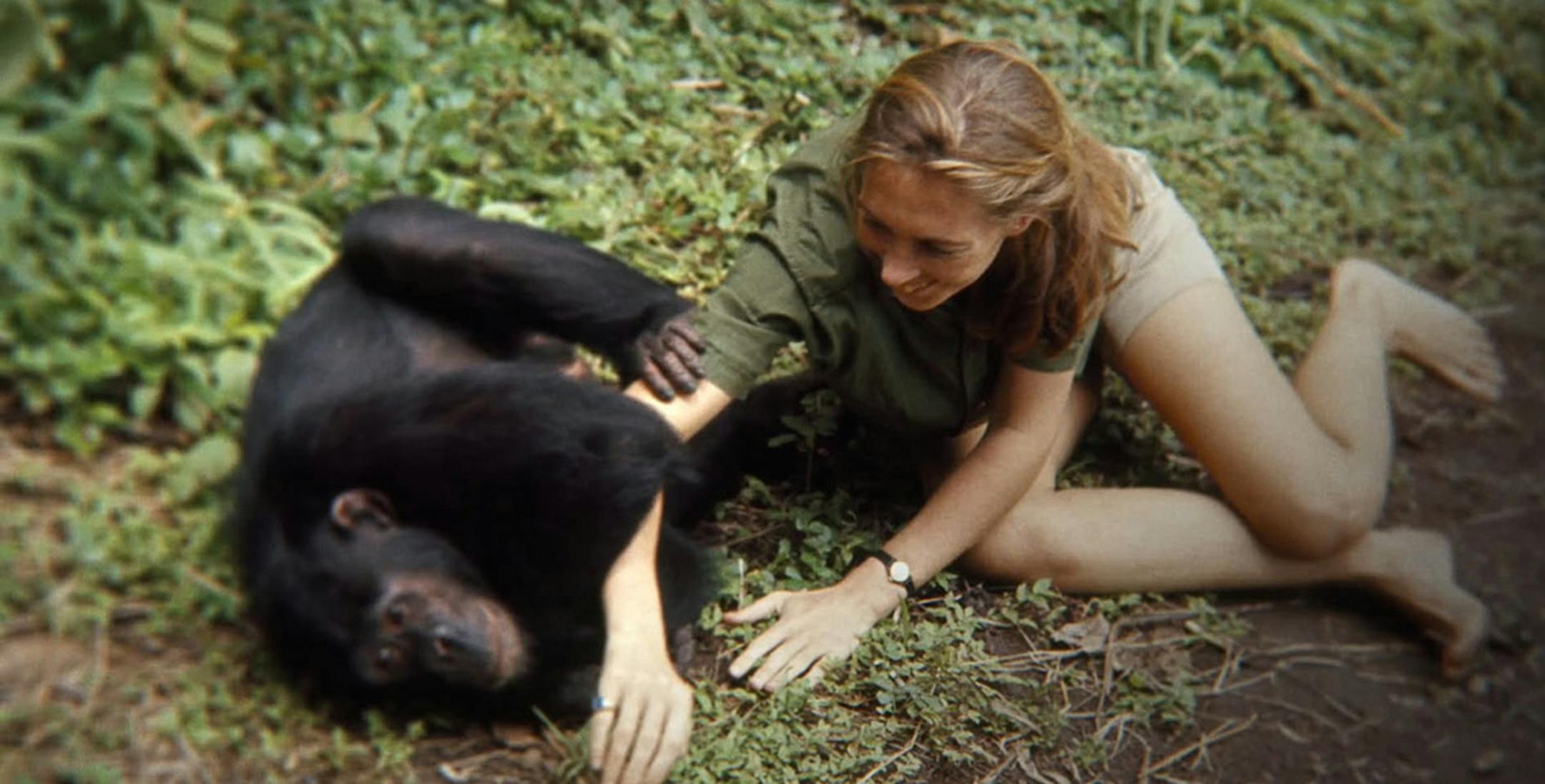 Jane Goodall in a frame from "Jane." (Courtesy Toronto International Film Festival) ORG XMIT: 1214061