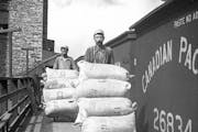 Workers load sacks of flour onto rail cars, likely around the turn of the century.  