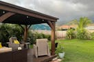 This July 2023 image provided by Amy Chadwick shows the backyard of her home in Lahaina, on the Hawaiian island of Maui.