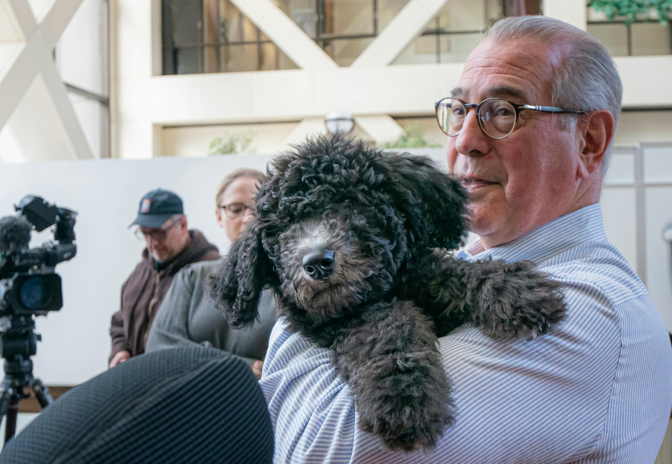 County Attorney Mike Freeman introduced the office's first ever emotional support animal, a golden doodle named Barrett. Barrett's trainer, Kathryn Newman, right, was with them. The four month old puppy has lots of training ahead, then will be used to help people in traumatic situations work better with the attorney's office. ] GLEN STUBBE • glen.stubbe@startribune.com Tuesday, December 31, 2019