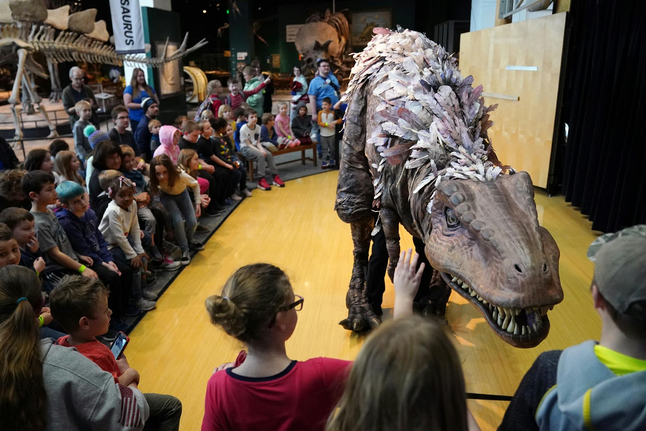A Tyrannosaurs Rex animated by puppeteer Neal Beckman greeted children during the Science Live show How To Train Your Dinosaur Thursday afternoon at the Science Museum of Minnesota. ] ANTHONY SOUFFLE • anthony.souffle@startribune.com