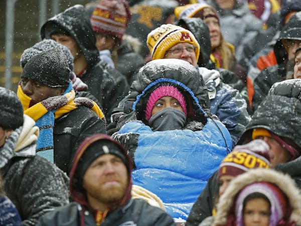 Minnesota fans were seemingly down as the Gophers were led by Ohio State in the third quarter during the game, Saturday, November 15, 2014 at TCF Stad