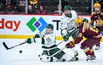 The Gophers and Bemidji State last met in the 2017 North Star College Cup at Xcel Energy Center. On Saturday at 3M Arena at Mariucci, they'll face off