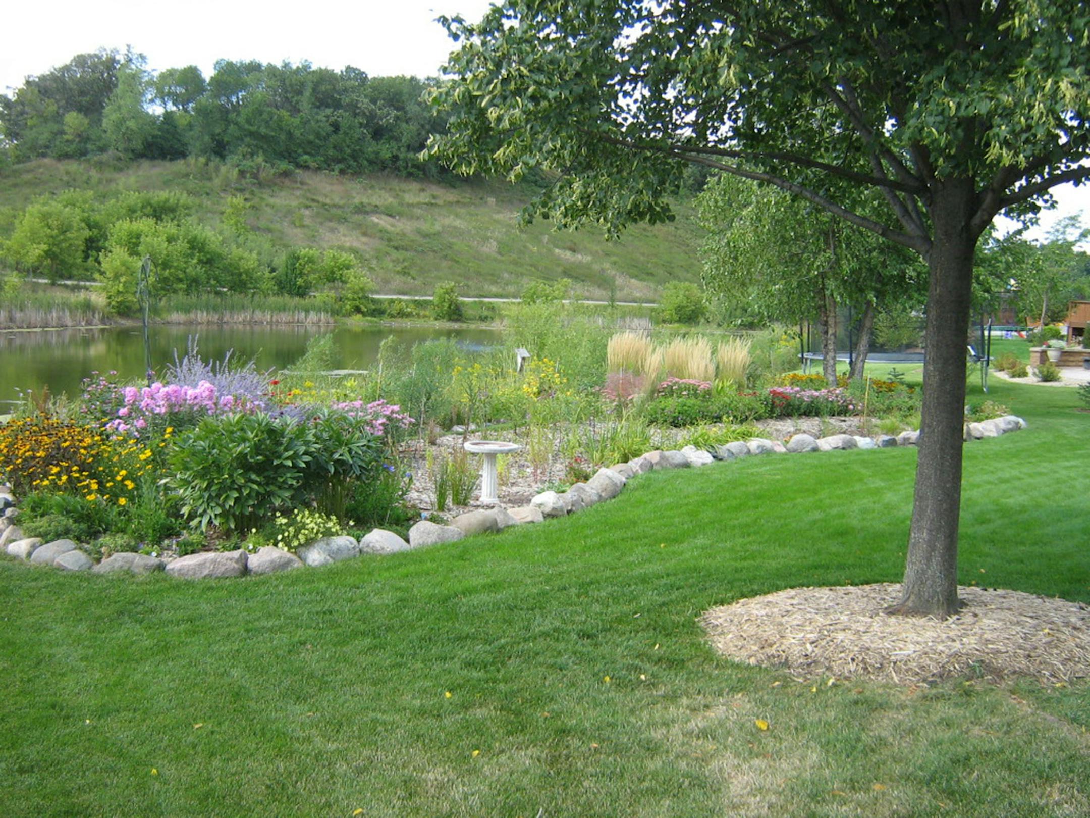 Celia Scheel's rain garden.
