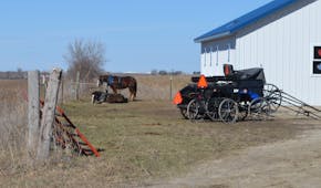 Amish buggies and horses are parked outside a building on a farm in rural Utica Wednesday, March 6, 2024.