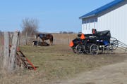 Amish buggies and horses are parked outside a building on a farm in rural Utica Wednesday, March 6, 2024.
