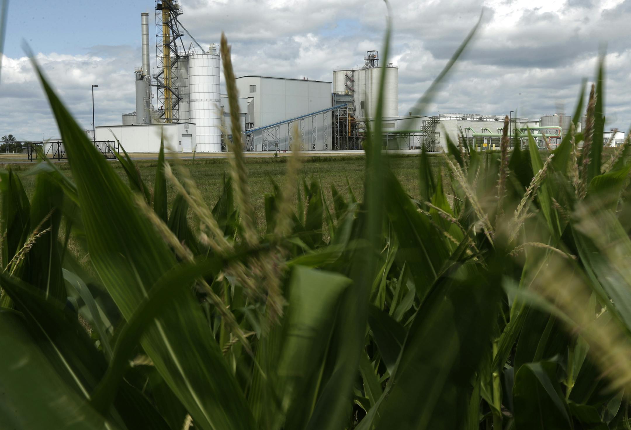 FILE - In this July 20, 2013, file photo, an ethanol plant stands next to a cornfield near Nevada, Iowa. Some farm groups and farm-state lawmakers are expressing anger at the Trump administration over final ethanol rules that they say fail to uphold the president's promises to the industry. The Environmental Protection Agency has released final renewable fuel standard rules for next year that do not include language President Donald Trump agreed to that would guarantee 15 billion gallons of etha