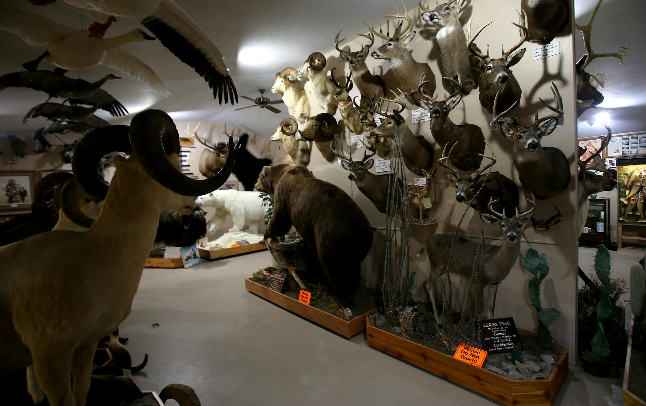 Some of the collection in the museum is stored in a few rooms where Kelly McDonald's garment factory will be located in Wabasha.