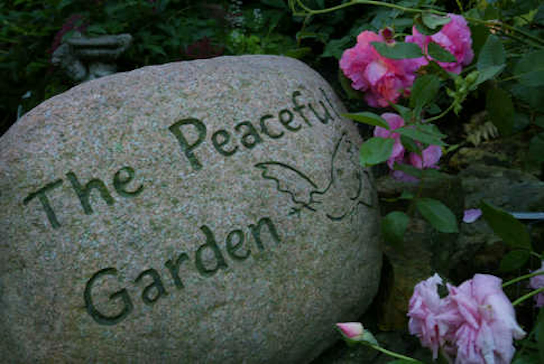 A detail in the peaceful garden
