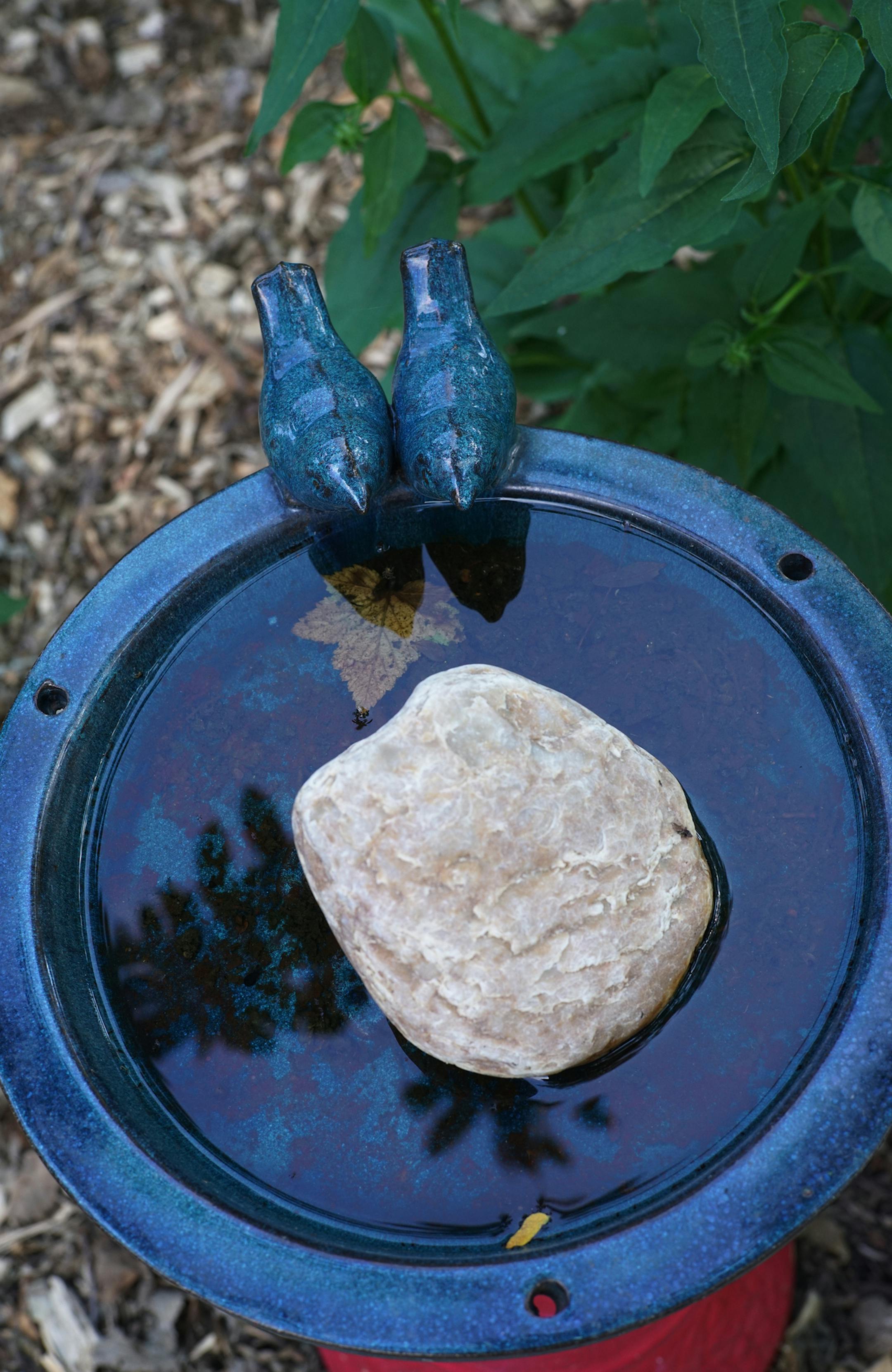 A bird feeder and birdbath can attract avian allies that will eat pesky insects.] Homeowner Jon Allinder and author Theresa Rooney ("Humane Critter Control") will show you Jon's garden, which has some of the critter-control features she outlines in the book. Richard Tsong-Taatariiïrtsong-taatarii@startribune.com