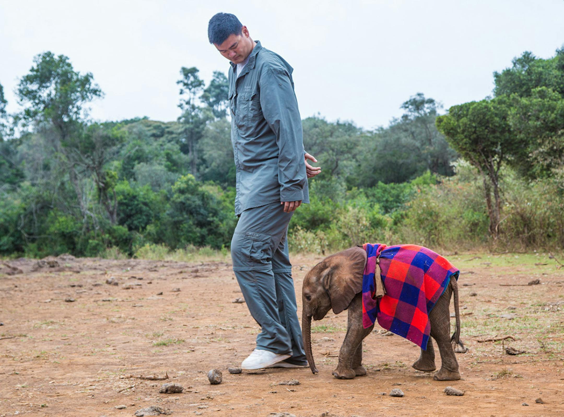 Kirstian Schmidt/WildAid Photo taken at David Sheldrick Wildlife Trust Nursery. Yao Ming with an orphaned baby elephant.
