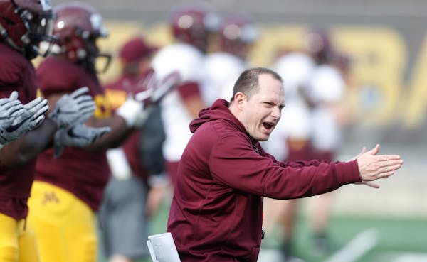 Robb Smith brings a wealth of experience and skill as the Gophers' new defensive coordinator and linebackers coach.