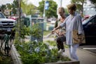 Linda Bailey and Kim Schoonover from Indulge Salon and Spa discuss the health of the vegetable plants in their garden. n. Indulge was the first busine