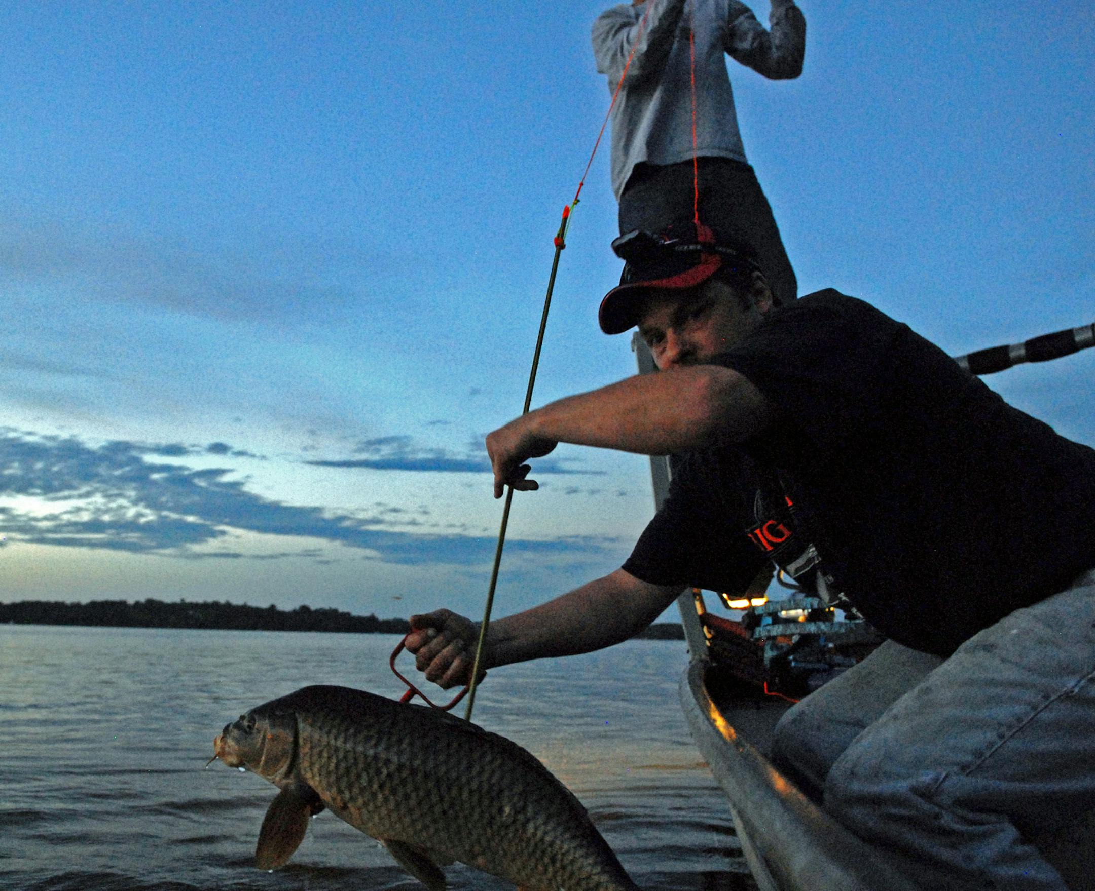 Pete Luke brings a common carp to the boat that was arrowed by Cole Anderson Wednesday night.