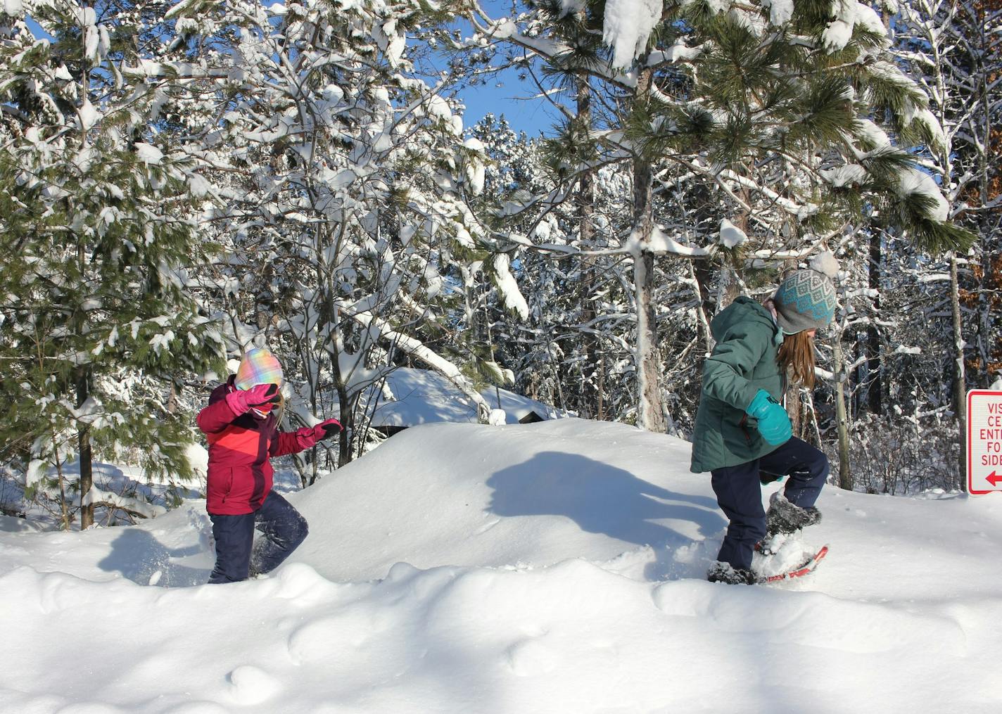 Ella, 5, and Laila Meissner, 7, test out snowshoeing for the first time Tuesday at Itasca State Park.