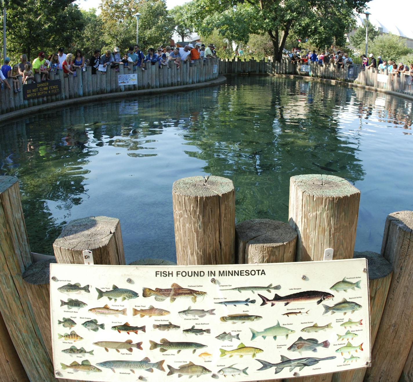 The fish pond outside the DNR building is stocked with about 45 species of fish.