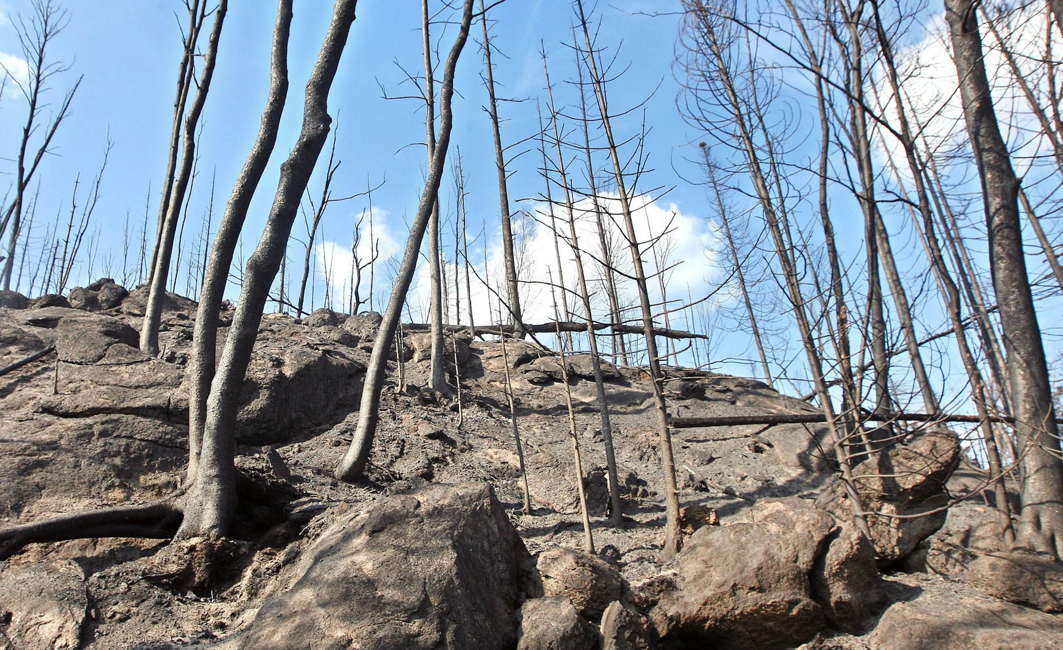 Large tract of trees and soil are burned in the Pagami Lake fire near Forest Center, Minn. Thursday Thursday, Sept. 15, 2011.