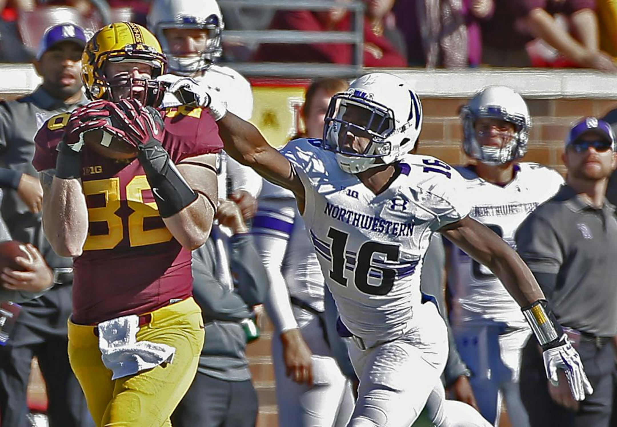 Gophers tight end Maxx Williams (88) made a catch as he was facemasked by Northwestern Wildcats safety Godwin Igwebuike (16) in the second quarter as the Minnesota Gophers took on the Northwestern Wildcats at TCF Stadium, Saturday, October 11, 2014 in Minneapolis, MN.