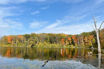 Fall Colors