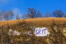 Barn Bluff has served as a public billboard for several decades but a survey found nearly half of the residents think the city's ban on graffiti shoul