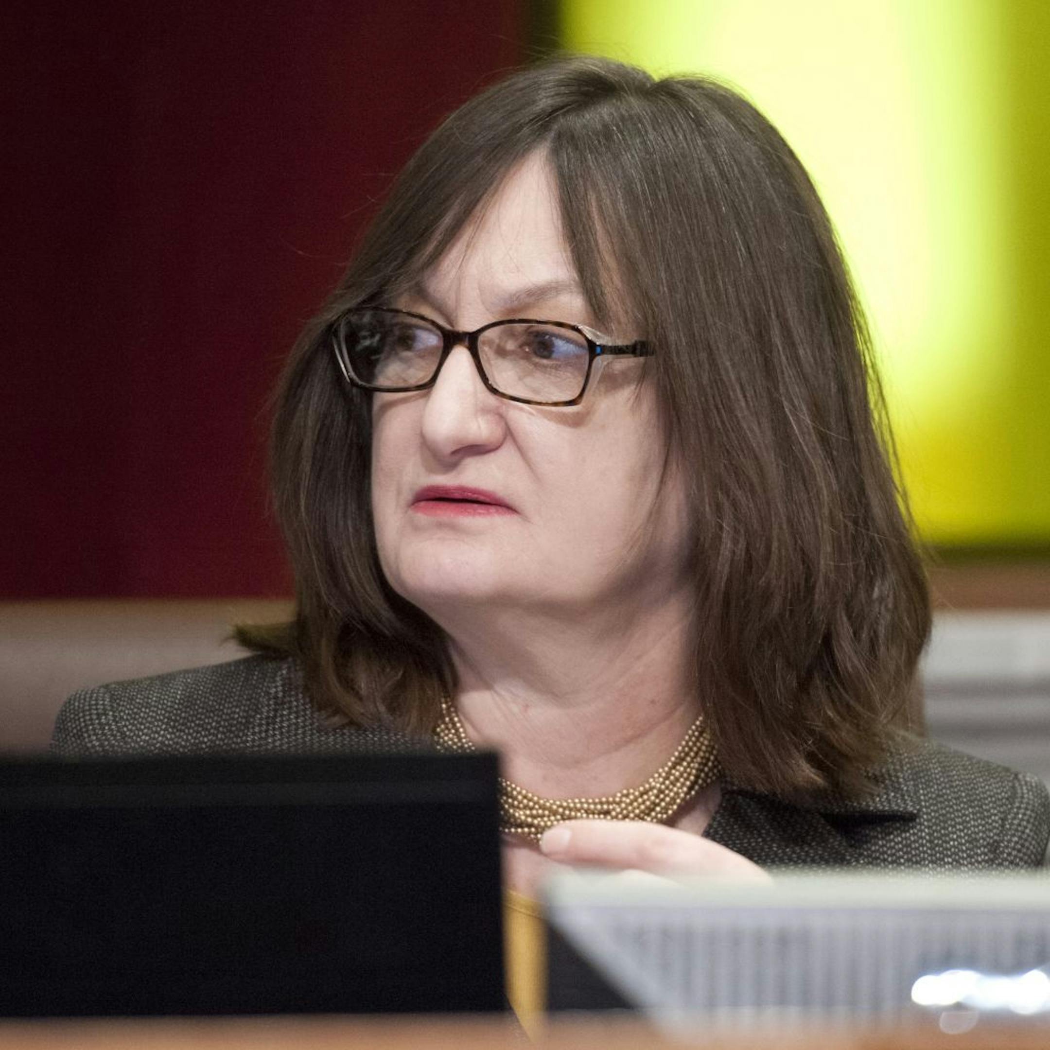 Minneapolis City Council member Sandy Colvin Roy. Friday, February 24, 2012