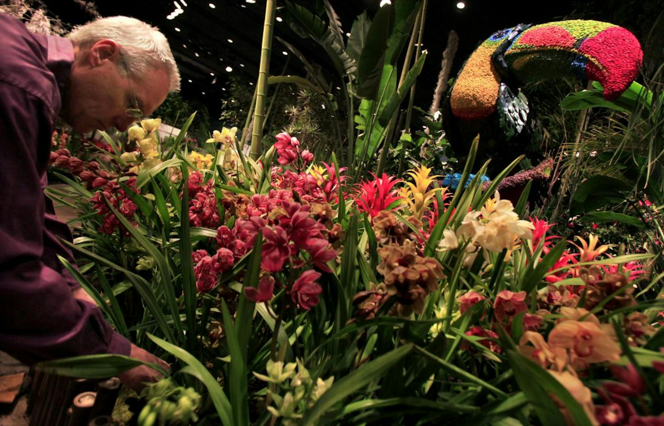 Dale Bachman of Bachman's worked on the main display at the Macy's Flower Show.