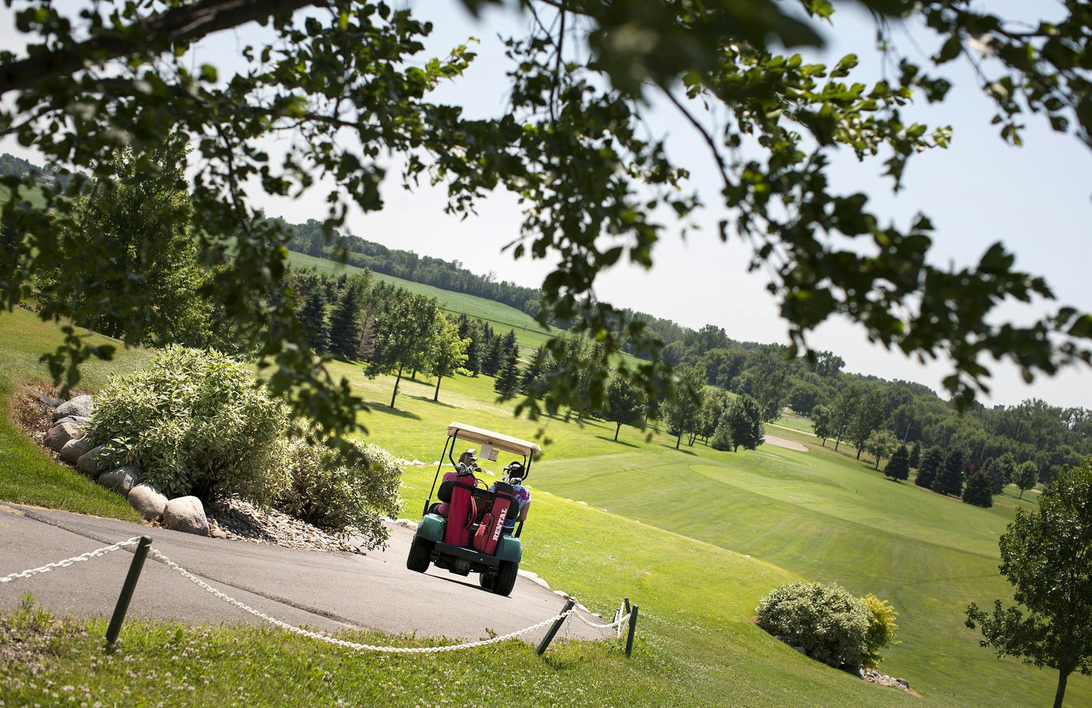 The owners of Emerald Greens Golf Course in Hastings hope to replace a corn field at the golf course's entrance with a family recreation area and RV park. In order to do so, the owners are asking the city of Rosemount to annex the land. Photographed July 11, 2014. (Courtney Perry/Special to the Star Tribune)