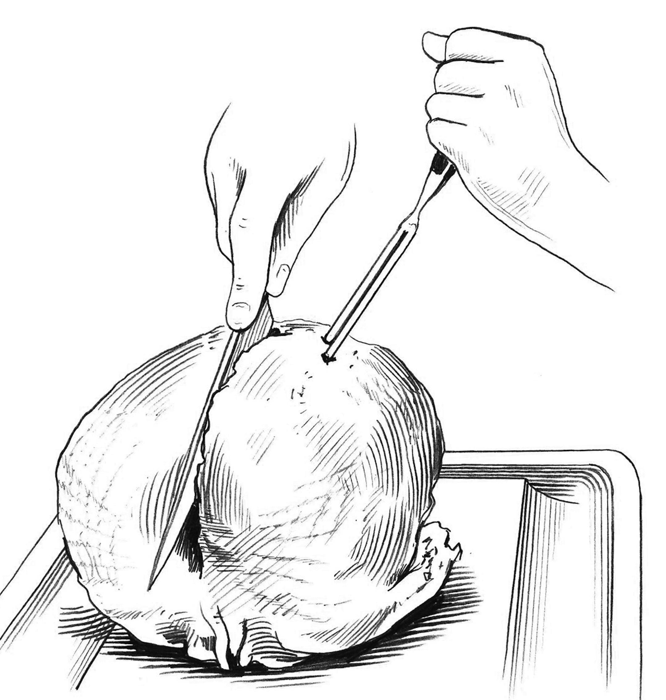 Step 4: The breasts