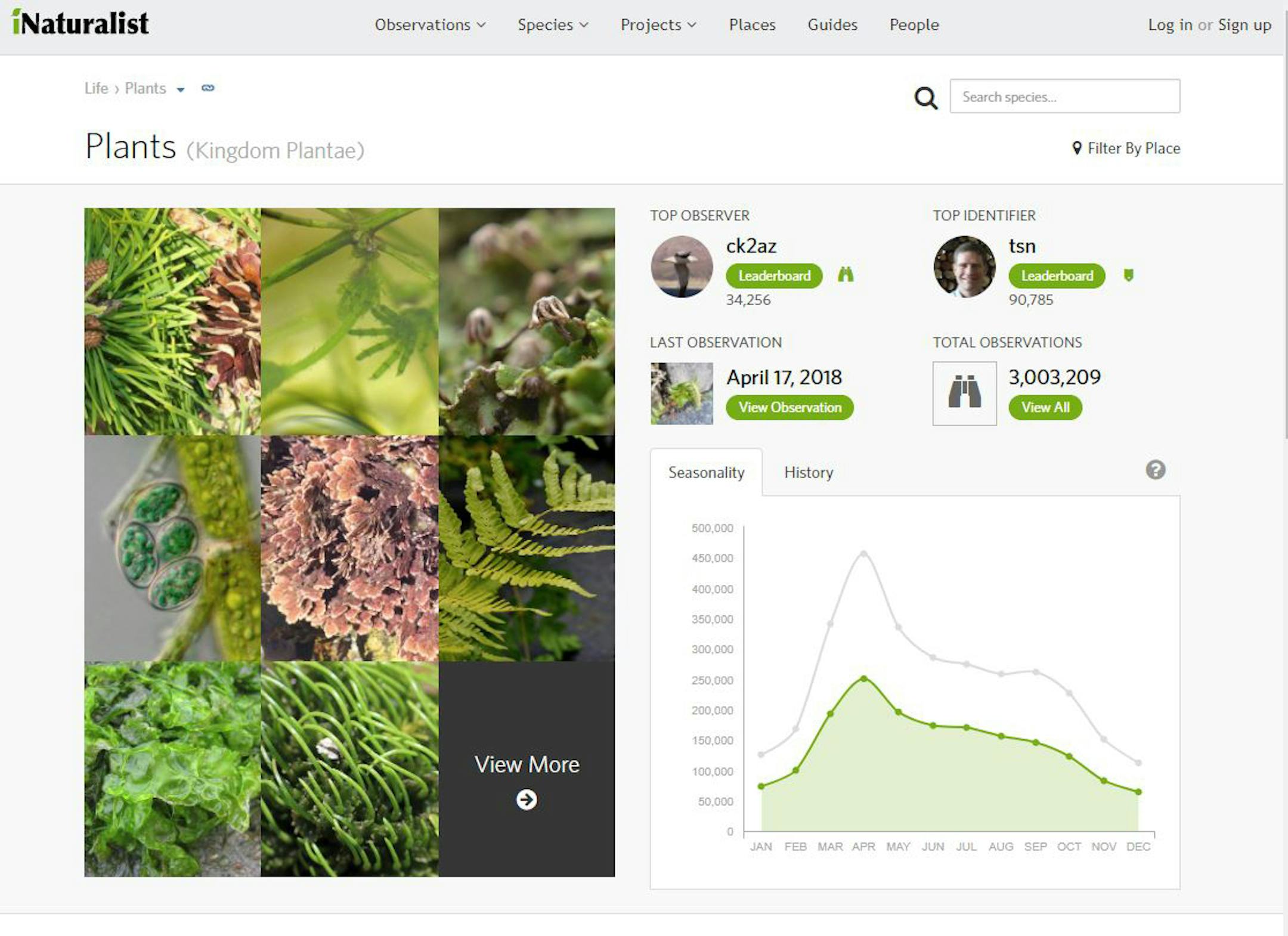 iNaturalist screen grab shows plant documentation.