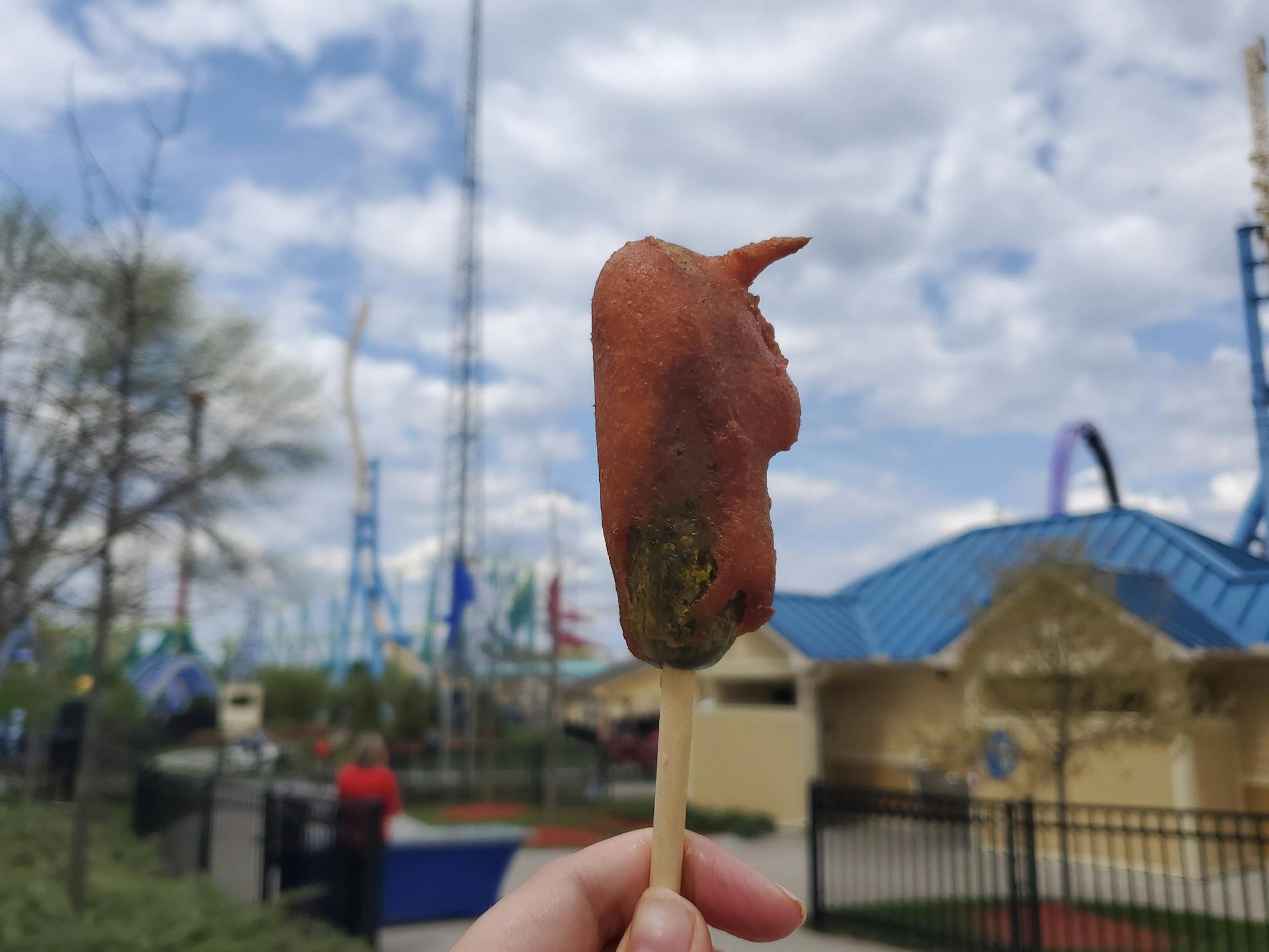 Flamin' Hot Cheetos Fried Pickle at Valleyfair