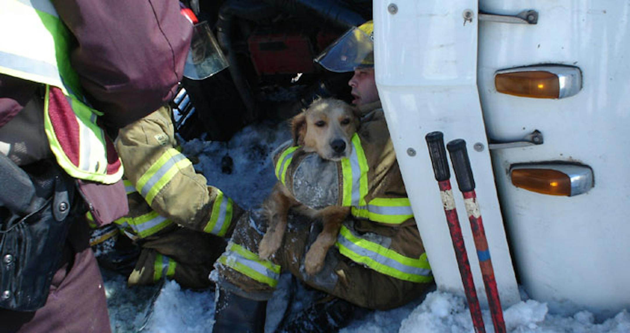 Josie-girl being pulled free from an overturned semi tractor-trailer accident.