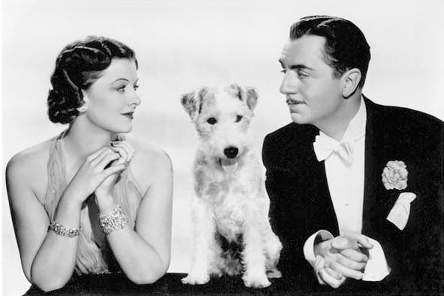 Dog in store the thin man