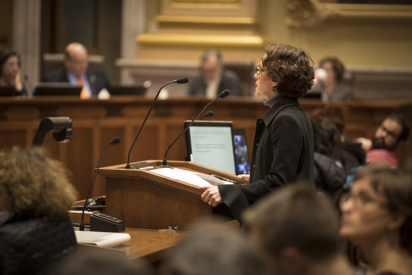 City Attorney Susan Segal spoke in front of the council members at a Minneapolis City Council meeting in Minneapolis, Minn., on Tuesday, February 7, 2017.