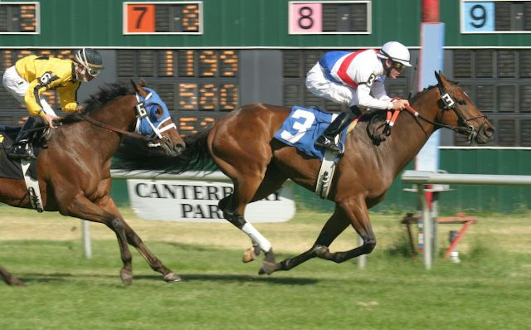provided photo " Moralist" winning the 'Honor the hero of the Turf" competition at Canterbury in 2009 -