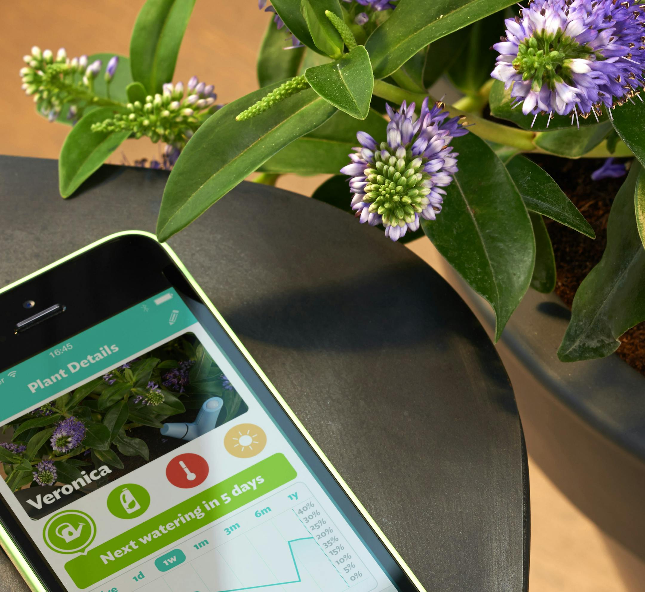 In an undated handout image, a screenshot of the Parrot Flower Power plant sensor. The device was created to analyze the growing conditions of plants and send you the results, and once inserted in the plant‚Äôs soil, either in a pot or open ground, the sensor monitors ambient temperature, fertilizer, light intensity and soil moisture. (Handout via The New York Times) -- NO SALES; FOR EDITORIAL USE ONLY WITH STORY SLUGGED CIR GEEK NOTES BY GREGORY SCHMIDT. ALL OTHER USE PROHIBITE