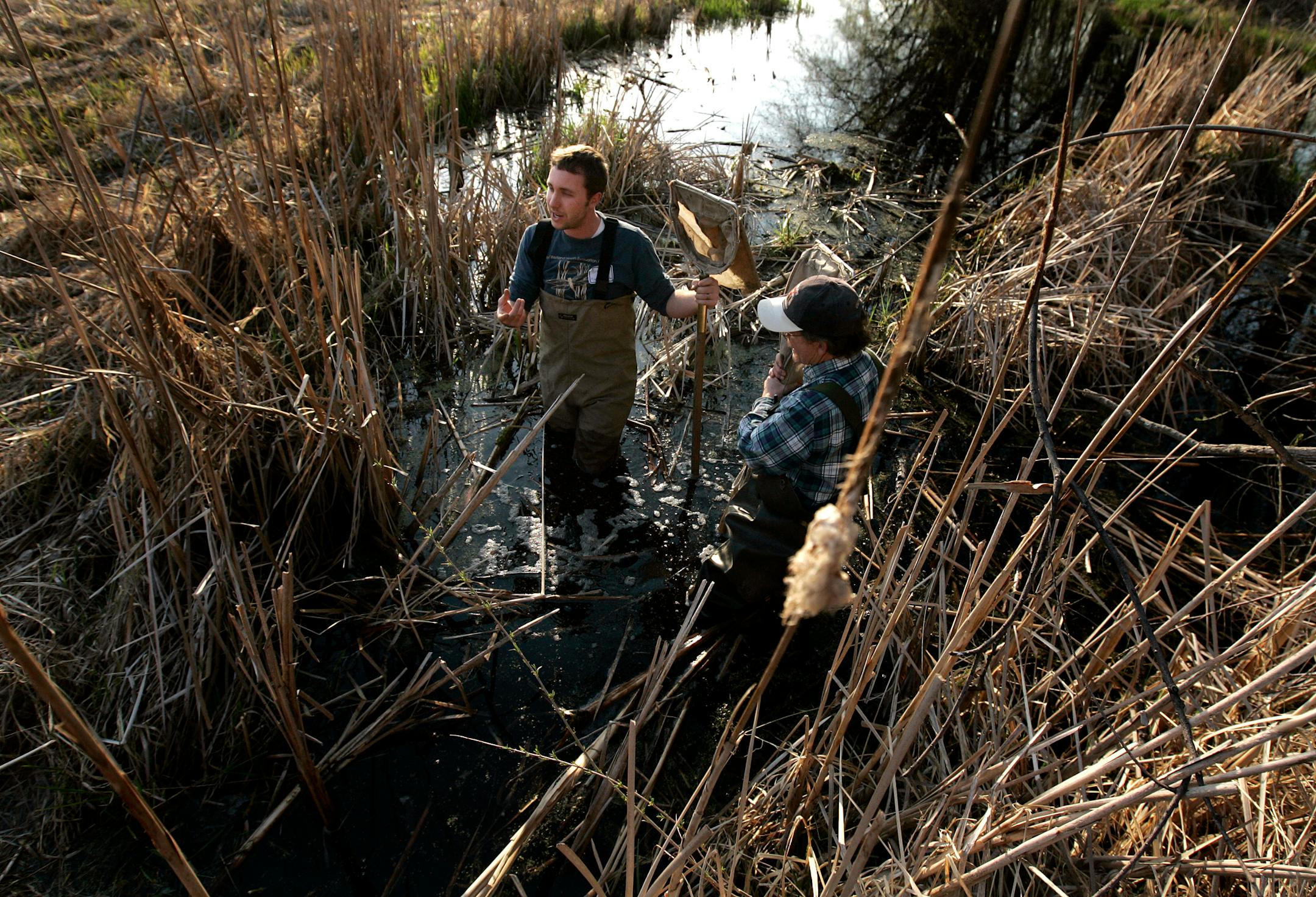Field coordinator Brandon Burns (facing camera) instructed a group of volunteers recently on the proper way to enter a wetland near the Minnetonka City Hall on Wednesday evening. Short of money and time, the state hopes to expand the volunteer program to monitor wetlands across the state.