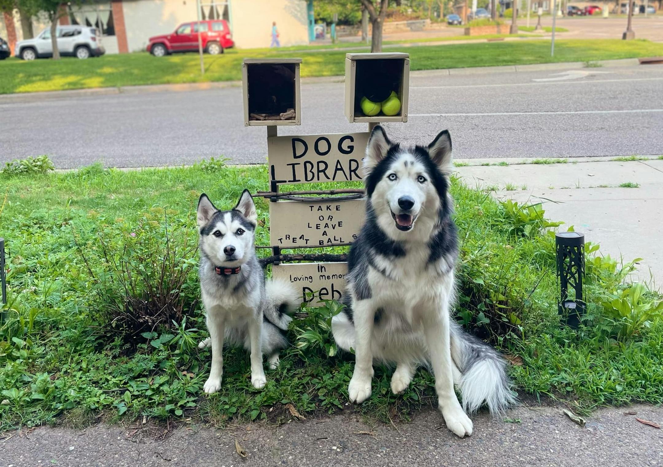 Two huskies stare at the camera intently while sitting in front of a few signs attached to a a stand holding boxes containing tennis balls and dog treats. There are little shelves for sticks from tree branches. The signs say "Dog Library," "Take or Leave a Treat/Ball" and "In Loving Memory of Deb"