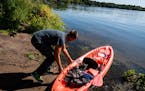 Dennis Shaw, visiting the Twin Cities for work from Indiana, pulled a kayak into Bald Eagle Lake in White Bear Township. for afternoon fishing last we