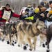 Laura Neese high-fived spectators near the starting line as she took off on the John Beargrease sled dog marathon from Billy's Bar in Duluth on Sunday