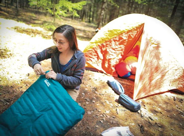 For campers like Suzanne Jost of Eden Prairie, who set up the tent for a family camping trip at Jay Cooke State Park in 2013, an online reservation sy