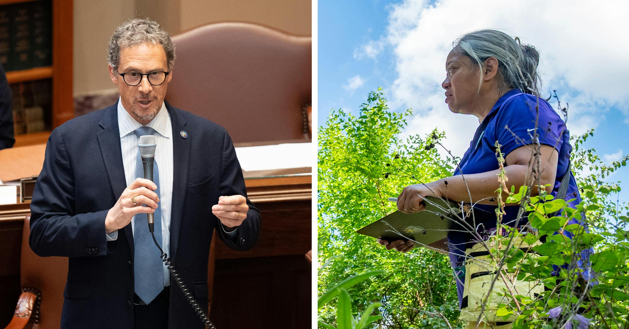 A state Senate primary becomes a test of Democrats’ debate over experience vs. change
