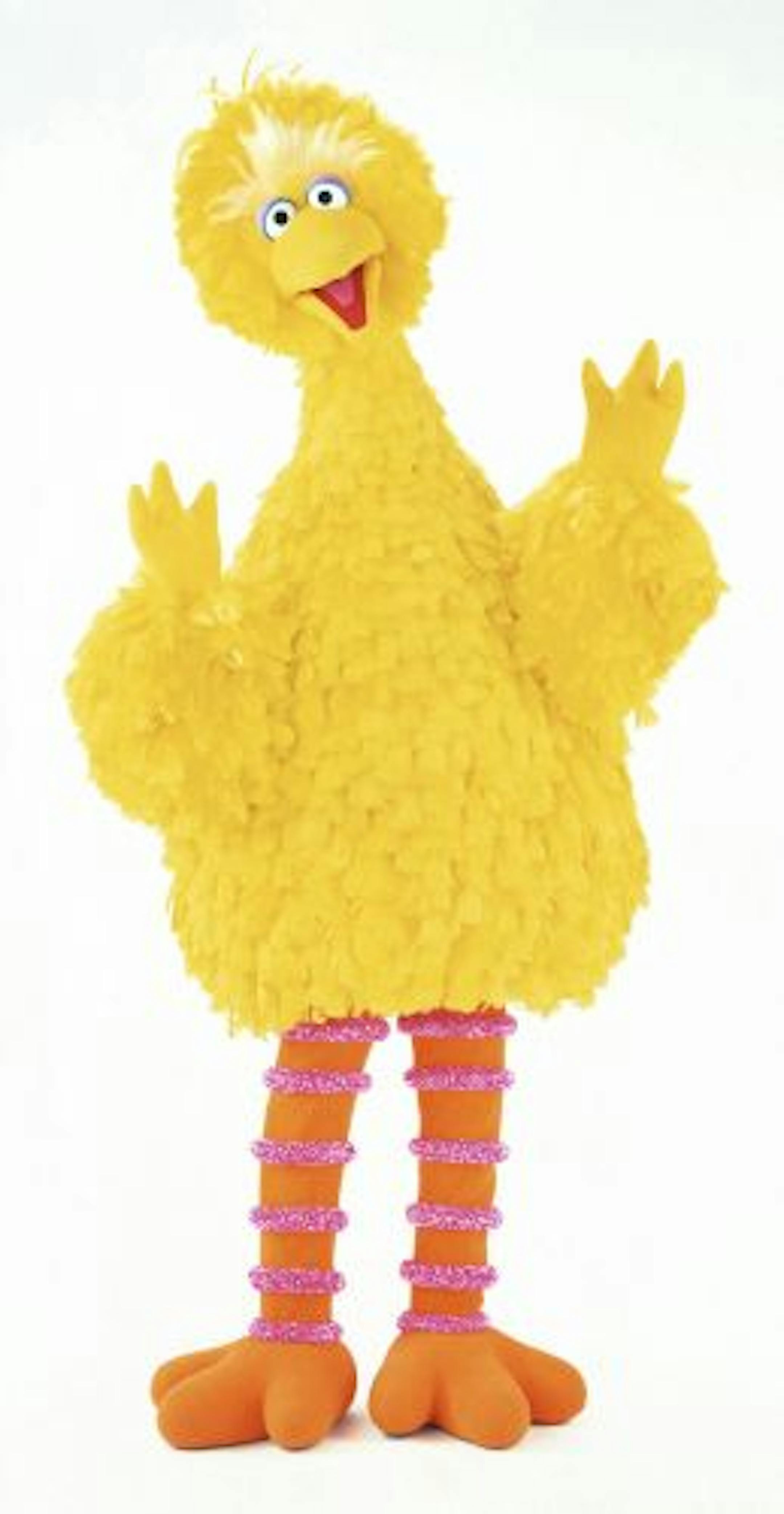 Big Bird Photo Credit: Sesame Workshop