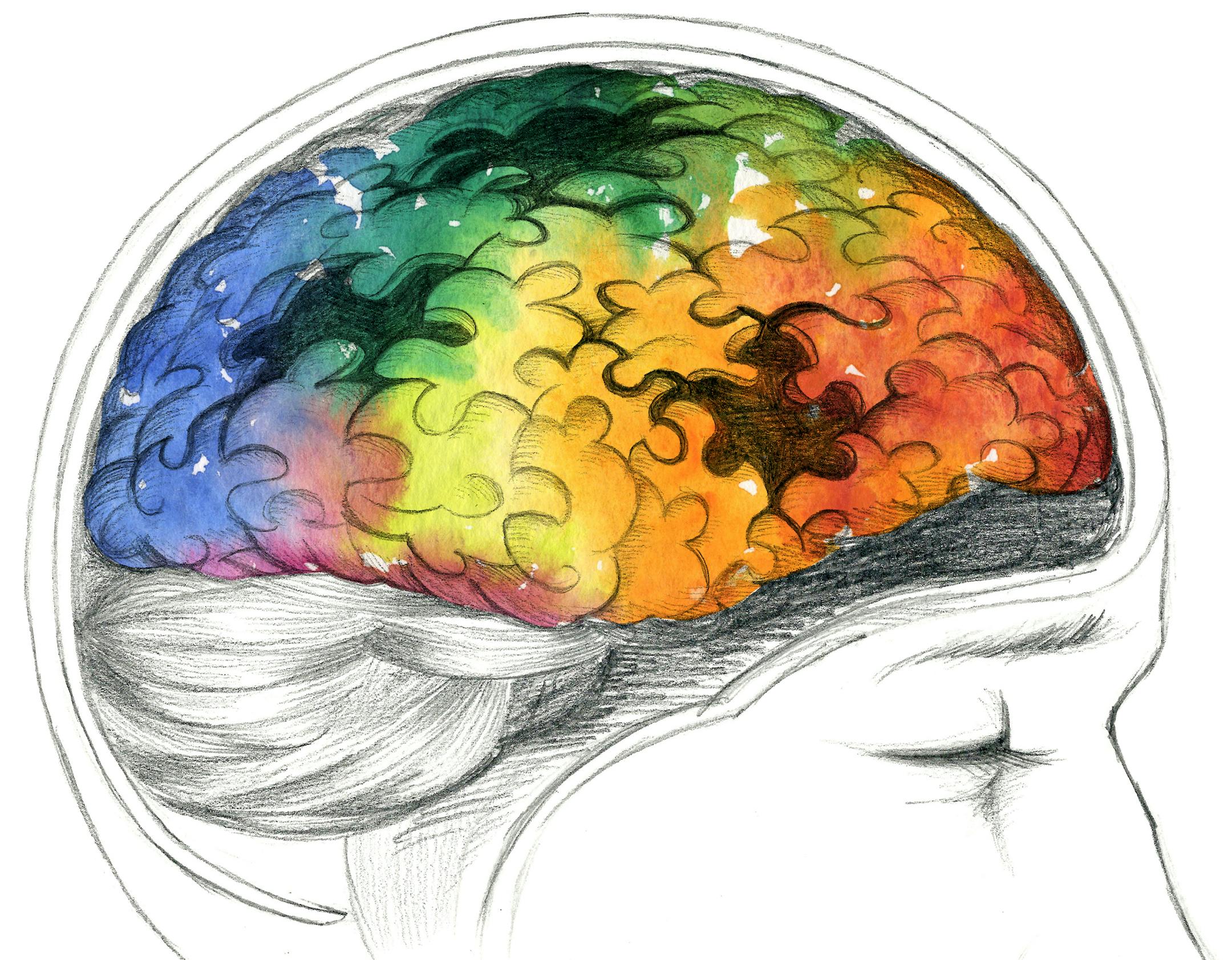 Human brain with Alzheimer's disease or other cerebral problem. Illustration hand made with pencil with digital color watercolored effects. istock