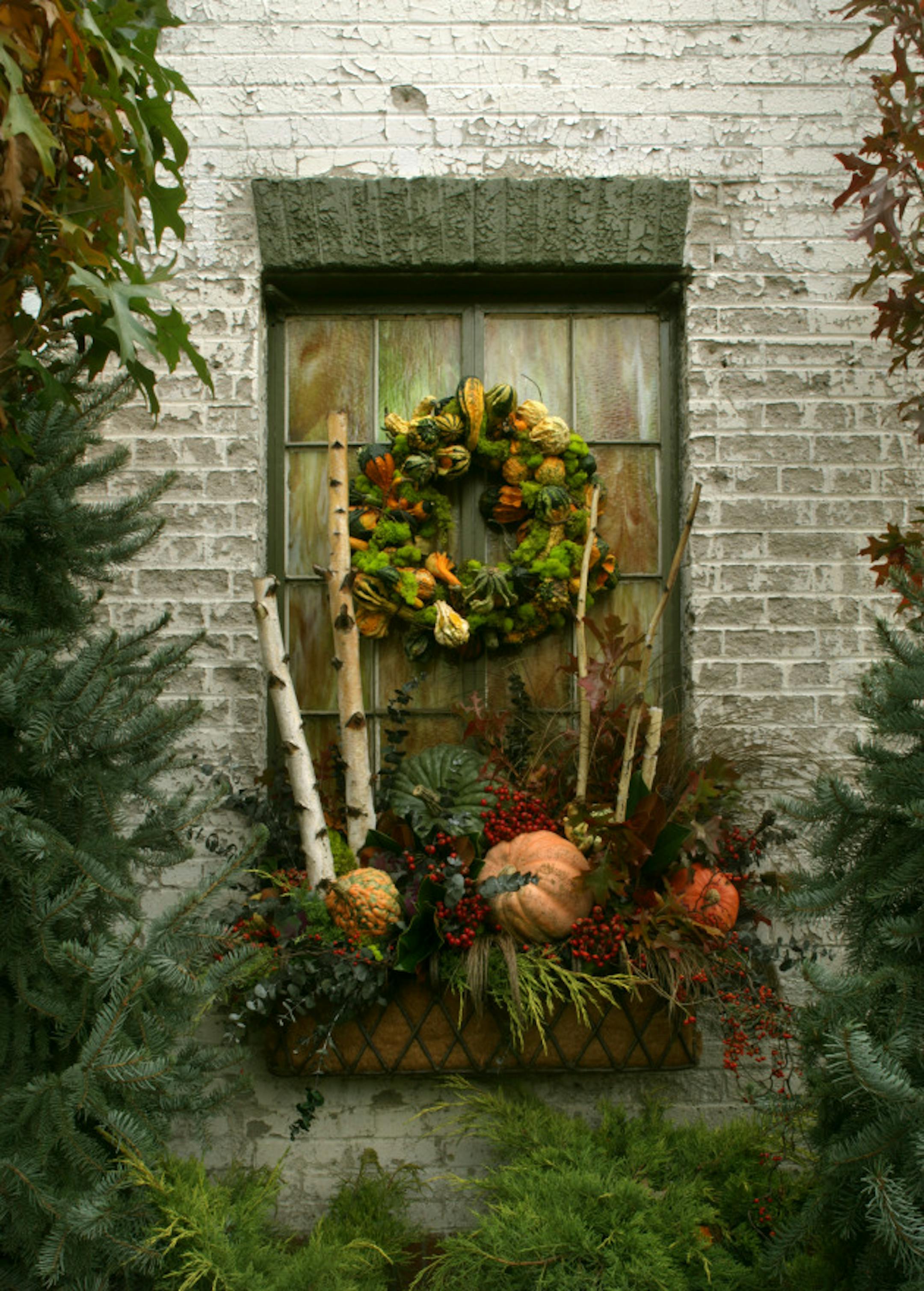 joel koyama\u2022jkoyama@startribune.com weed1105 00005289a]  Window boxes at Tangletown gardens.