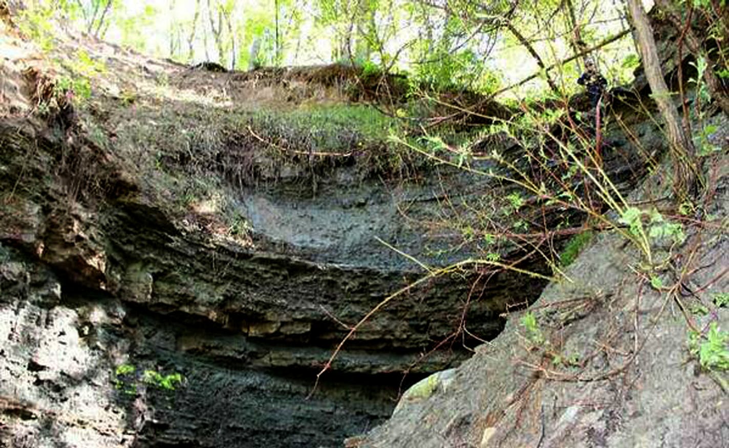 Frantic 911 callers tried to describe the collapse of this cliff.