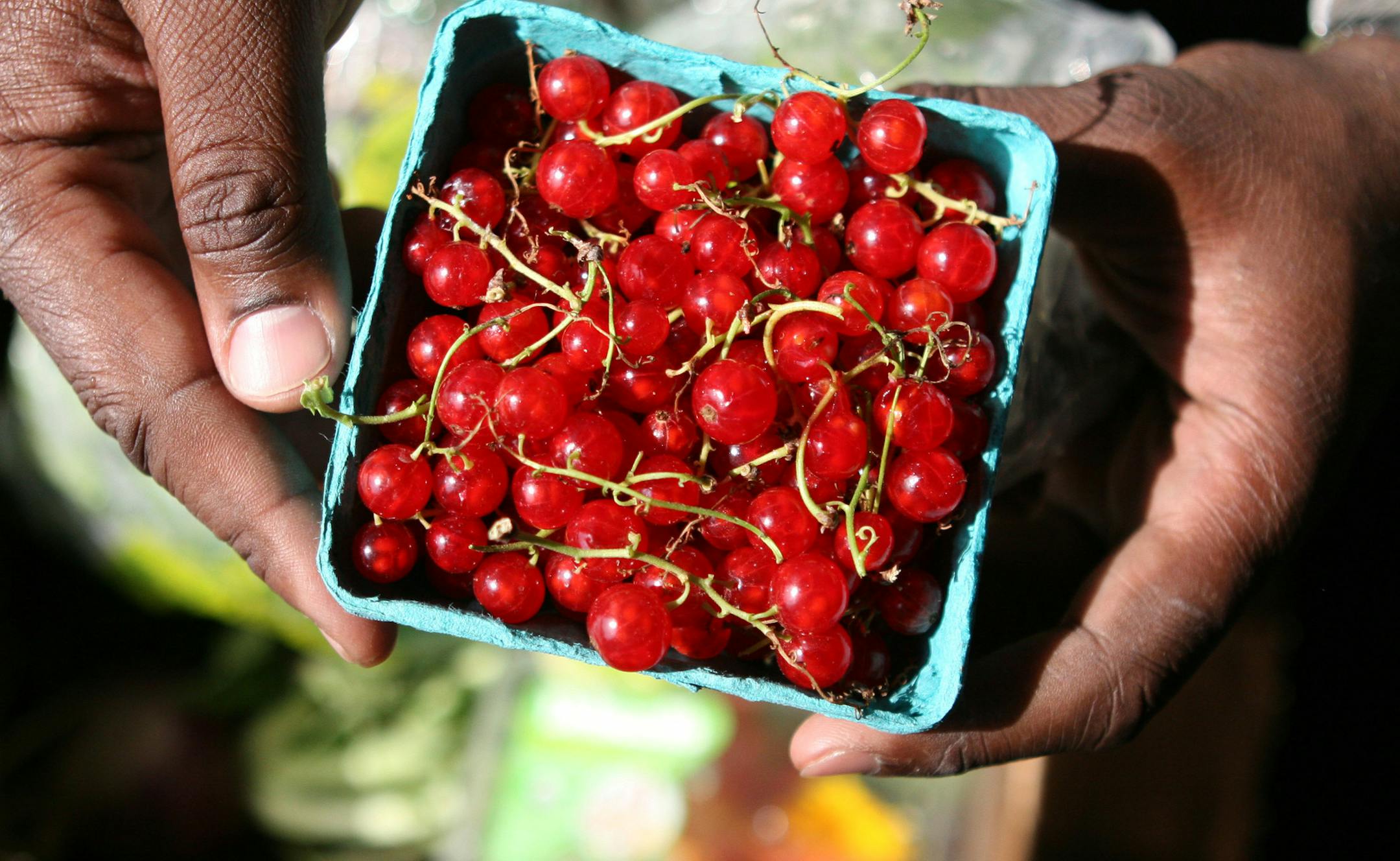 TOM WALLACE Ô twallace@startribune.com CSA farmer, Tim Herrmann, farmer, delivers some of his community supported farm's produce to his Minneapolis dropoff point, Seward Coop, Seward Coop, 2111 E. Franklin. Kenny Earl looks over the package of produce he's picking up from Herrmann. ORG XMIT: MIN2013062116584680