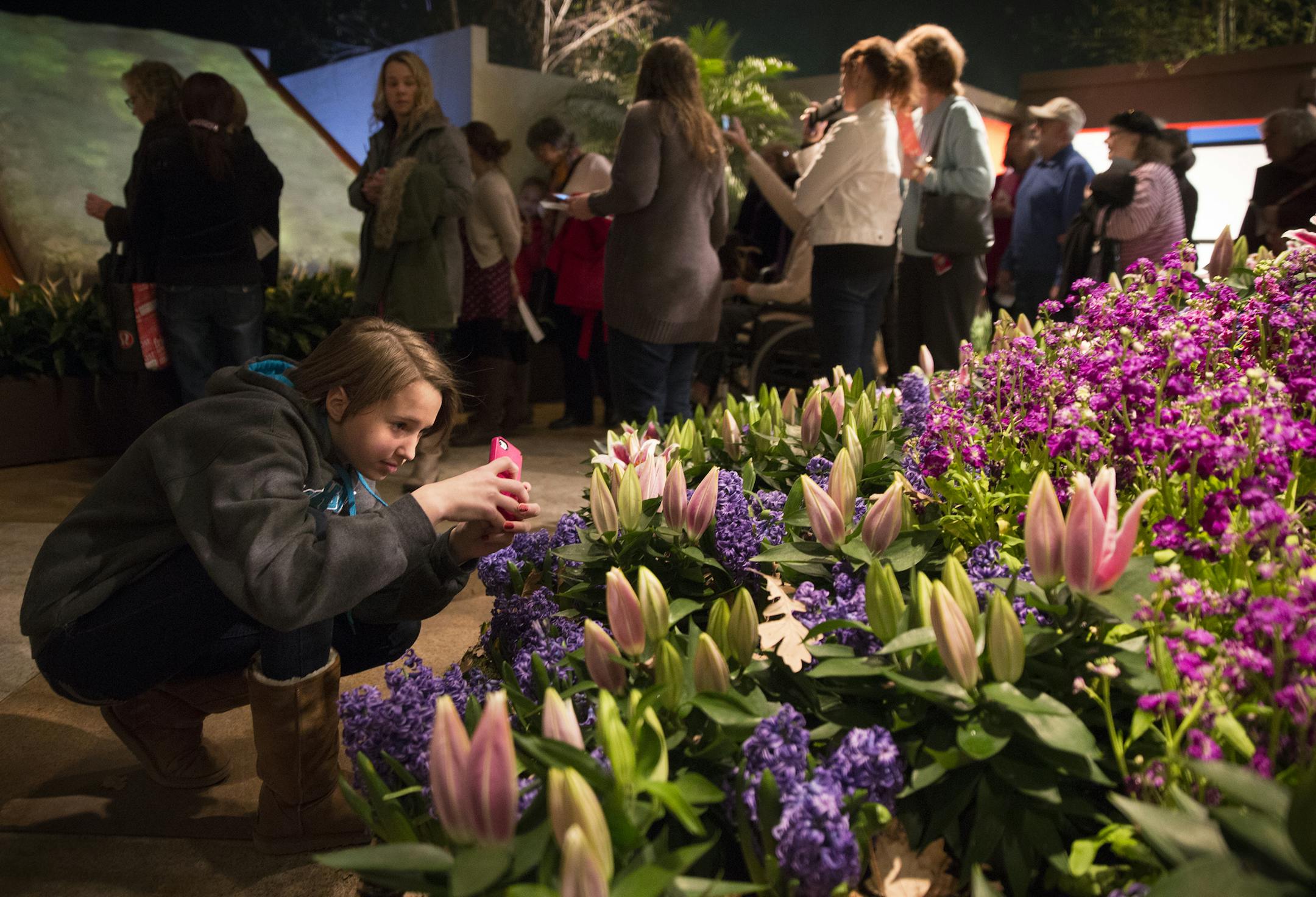 Grace Larsen, 13, of Orono takes photos at Macy's Flower Show in downtown Minneapolis on Friday, March 27, 2015. ] LEILA NAVIDI leila.navidi@startribune.com /